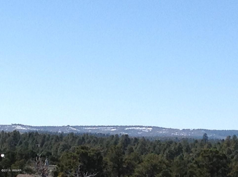 2972 Lodgepole Road Overgaard, AZ 85933 - Photo 25 of 41 a view of a mountain