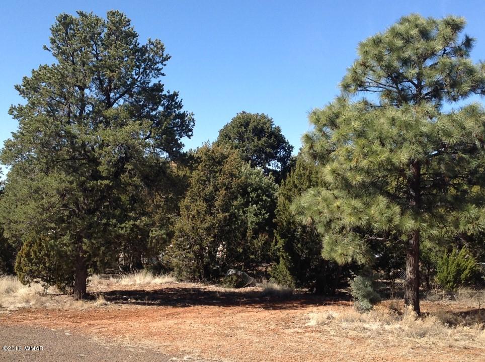 2972 Lodgepole Road Overgaard, AZ 85933 - Photo 37 of 41 a view of a yard