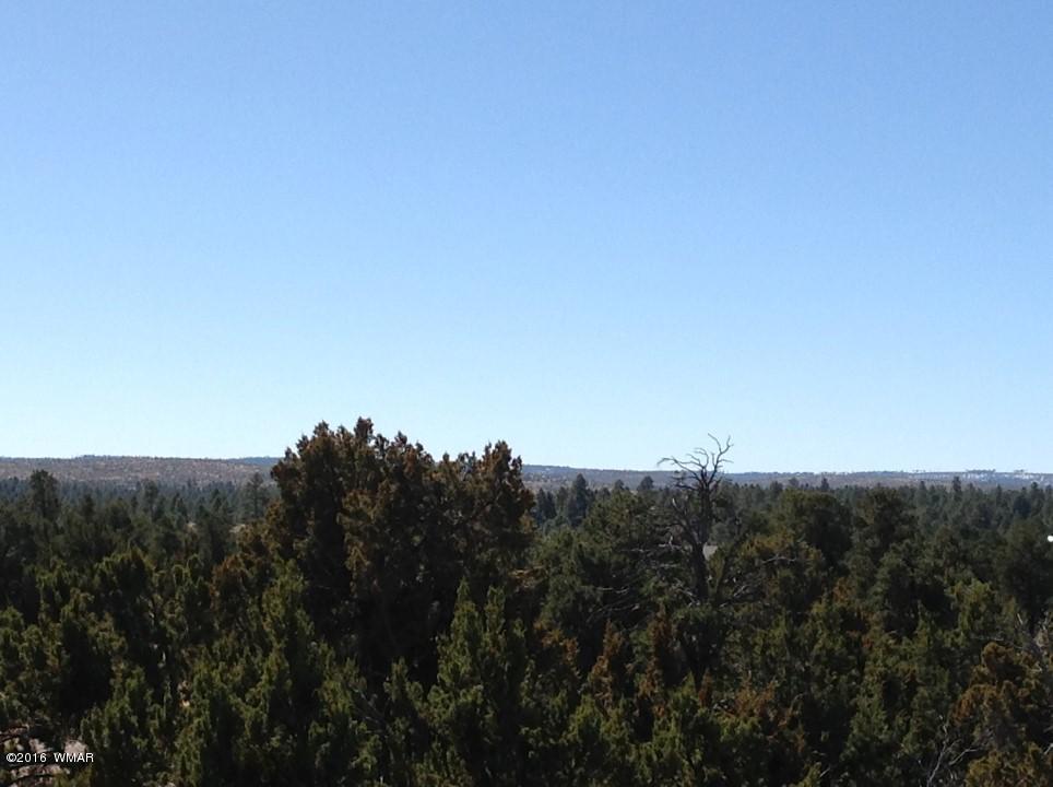 2972 Lodgepole Road Overgaard, AZ 85933 - Photo 39 of 41 a view of a city