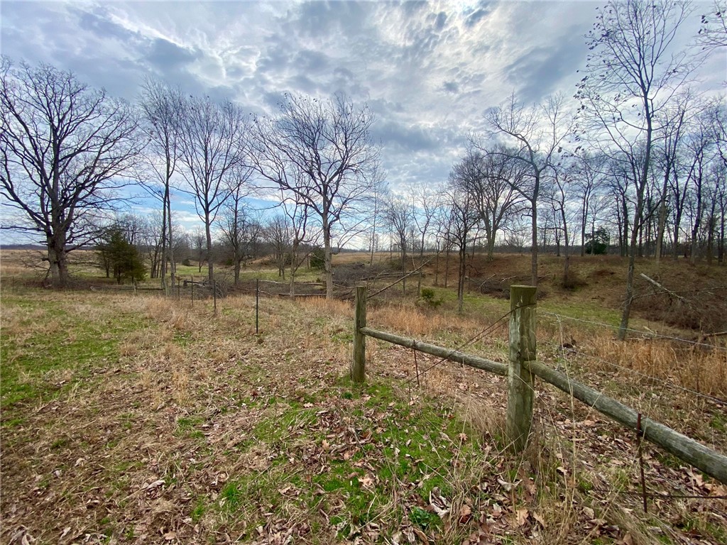 77 Wildcat Road Winchester, OH 45697 - Photo 16 of 19 This expansive lot offers a tranquil setting with natural landscaping and mature trees.