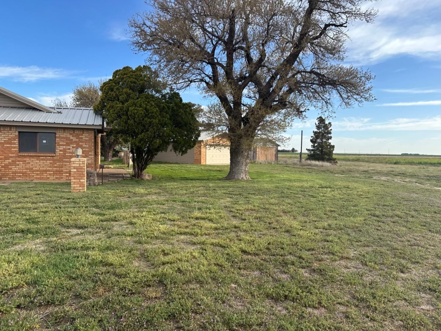 621 County Road 280 Post, TX 79356 - Photo 4 of 17 a view of a tree in a yard