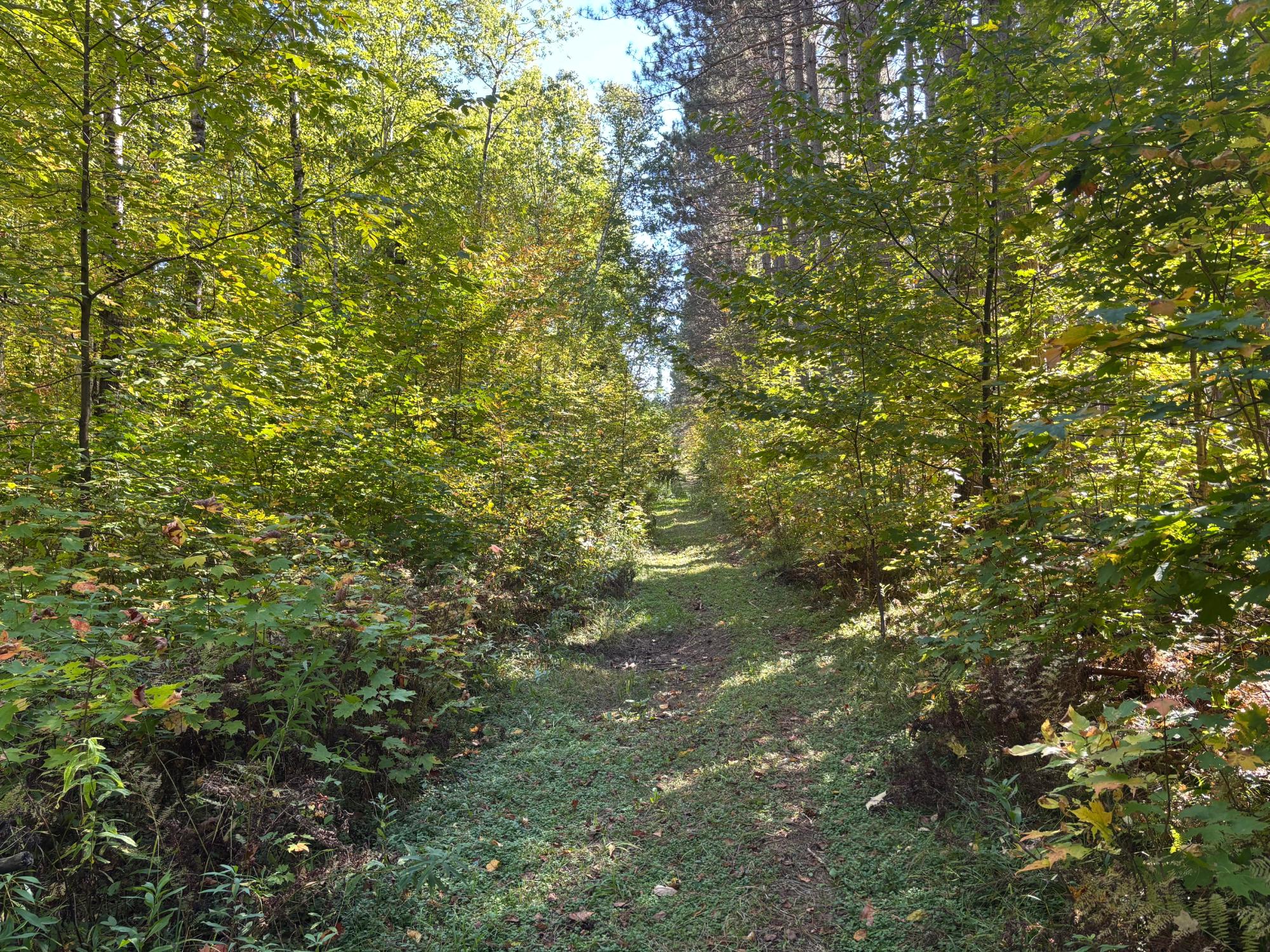 Lot 1 Kentuck Lake Road Phelps, WI 54554 - Photo 9 of 15 Gallery Image 9