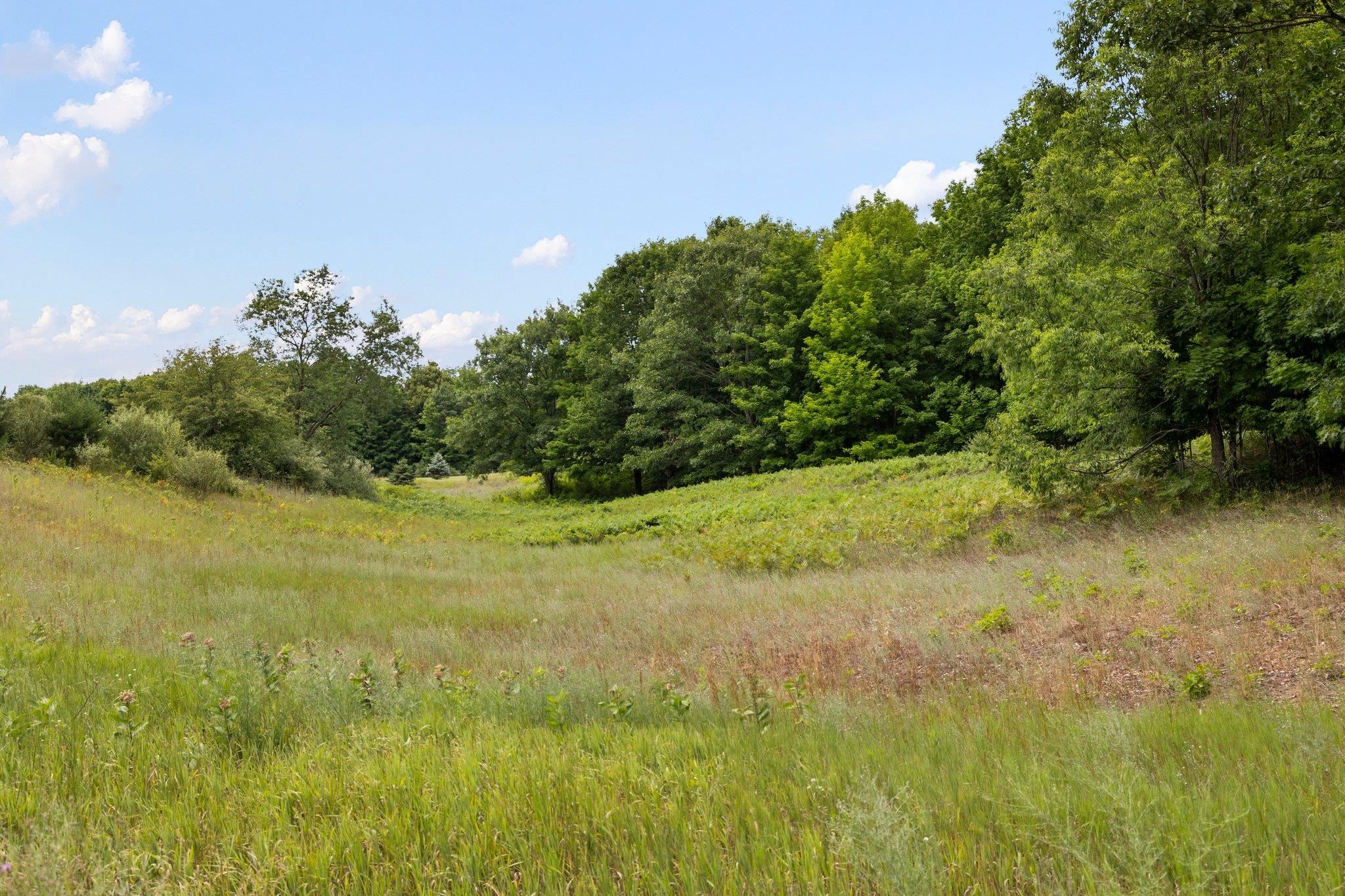 7886 Florey's Ranch Road Buckley, MI 49620 - Photo 16 of 36