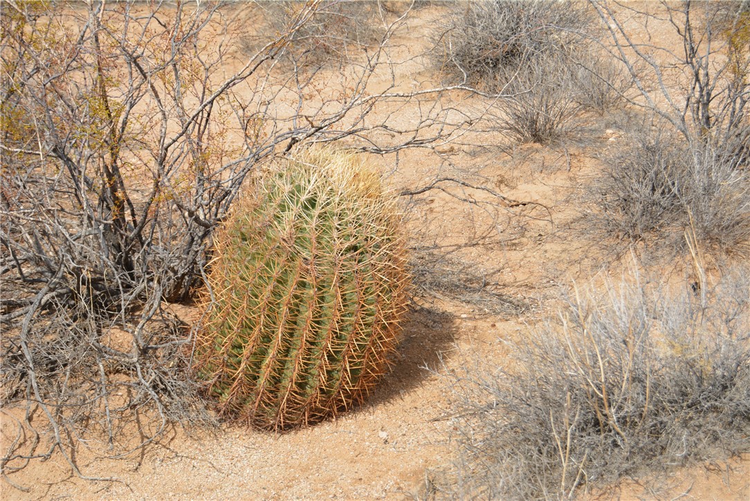 207-35-005 South Arlington Road Yucca, AZ 86438 - Photo 34 of 92