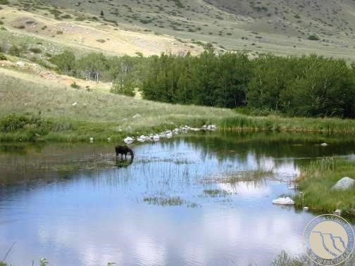 54 Eagle Ridge Trail Fishtail, MT 59028 - Photo 19 of 21 Gallery Image 19