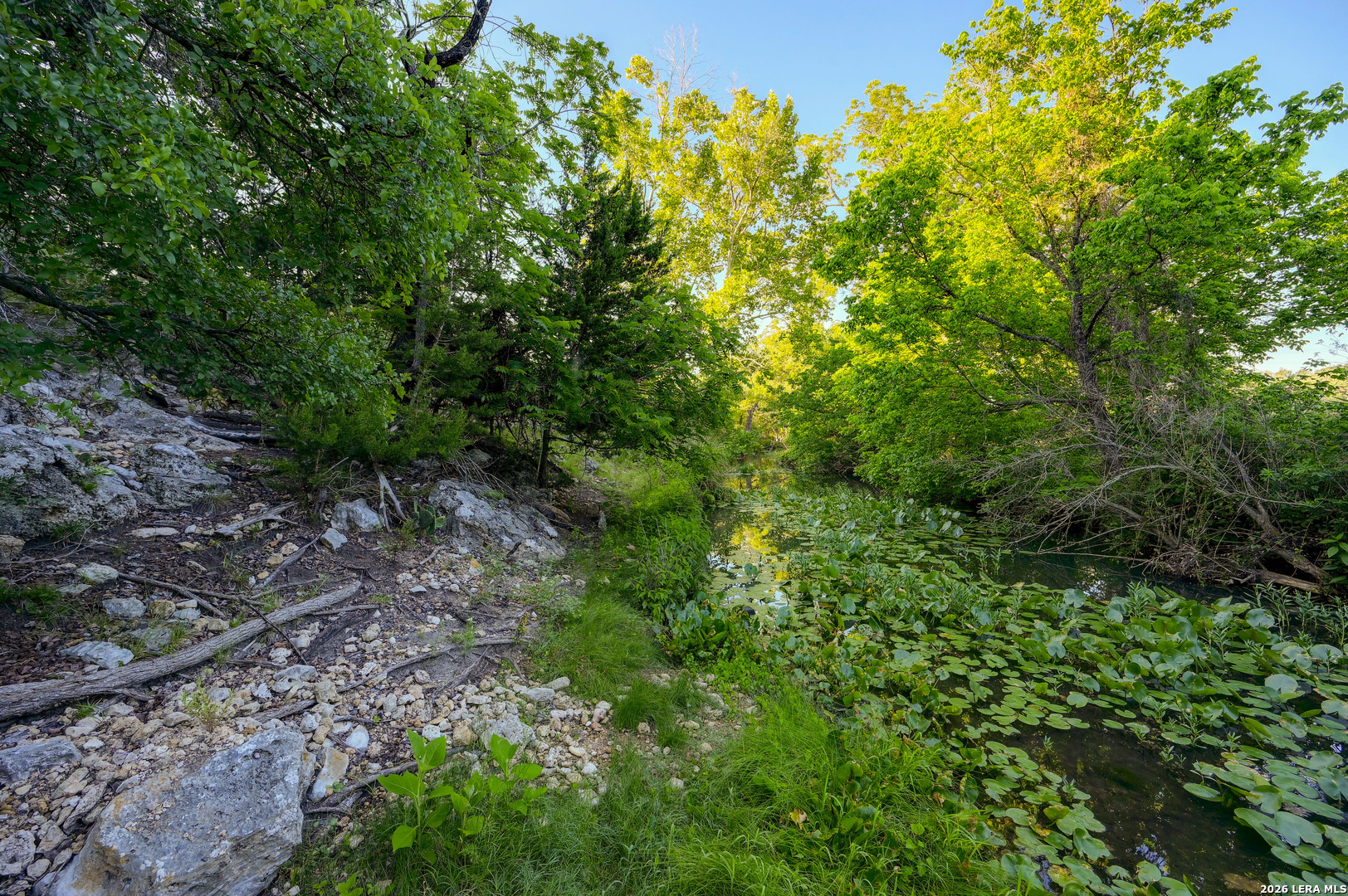 315 Rittimann Road Spring Branch, TX 78070 - Photo 39 of 51