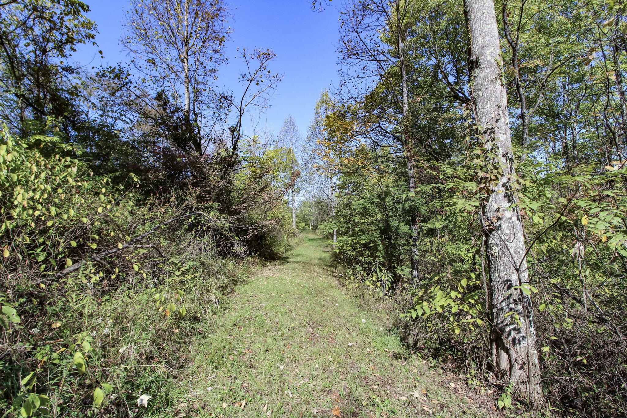 Lot 3 Moss Run Road Marietta, OH 45750 - Photo 12 of 18 11-IMG_9038