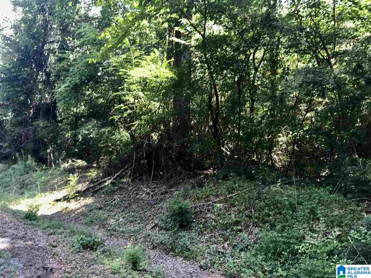 0 Davis Acres Drive, Unit 18 Alpine, AL 35014 - Photo 11 of 11