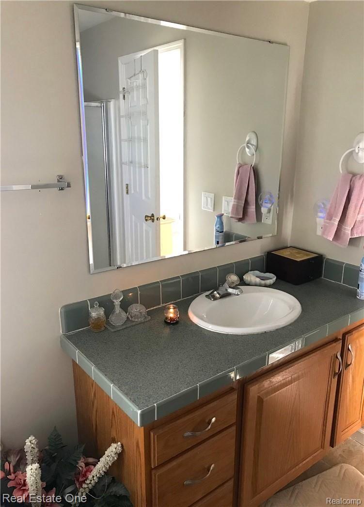 249 North Kane Road Webberville, MI 48892 - Photo 9 of 23 Master bath