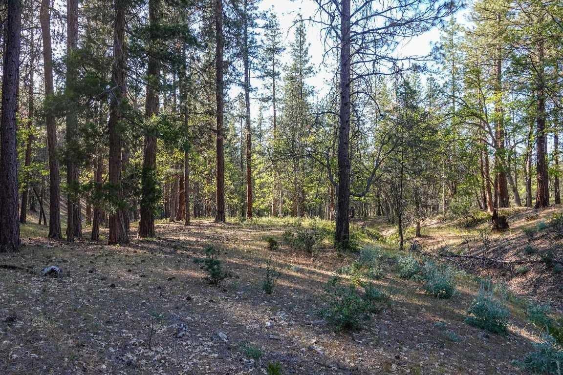 0 East Road Fort Jones, CA 96032 - Photo 16 of 35 Gallery Image 16