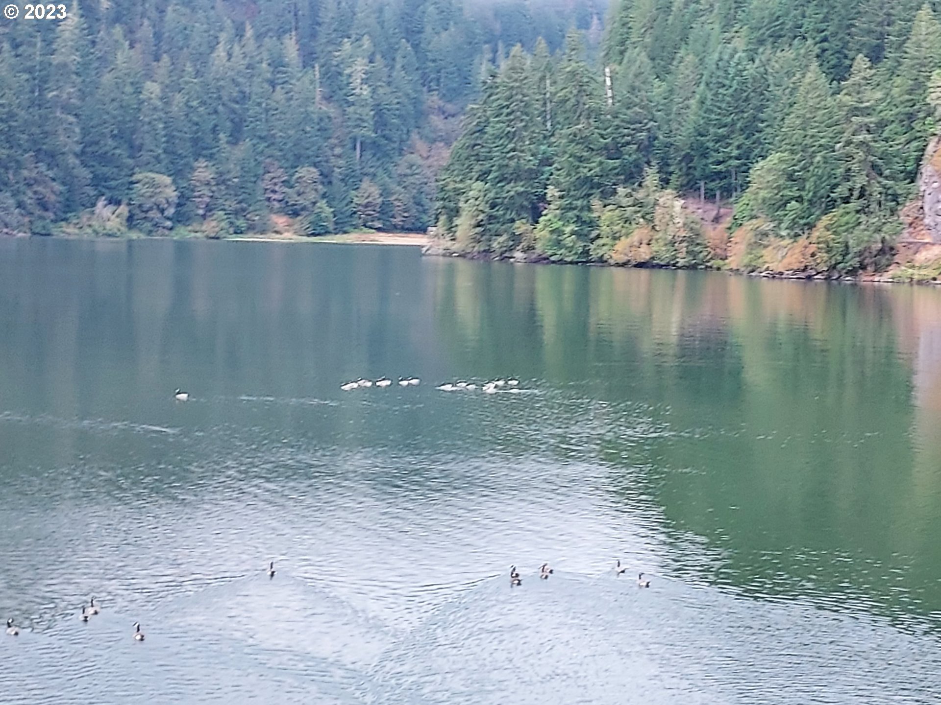 2223 Loon Lake Road Reedsport, OR 97467 - Photo 34 of 41 Gallery Image 34