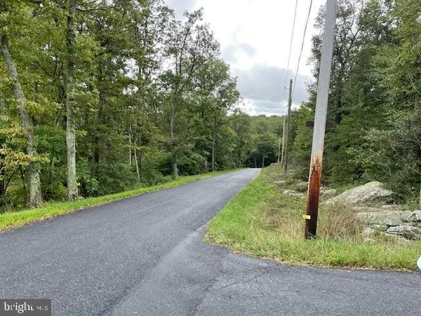 a view of a road with a tree in front of it