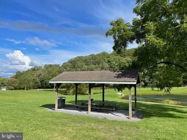 a view of a garden with a bench under an umbrella