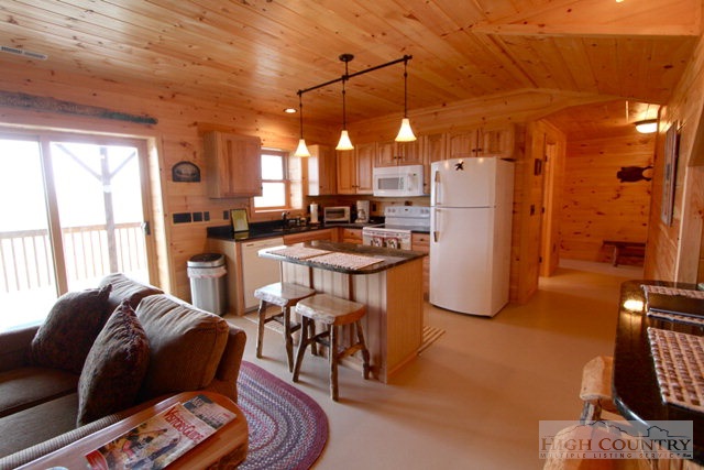 1071 Nettles Ridge Road Banner Elk, NC 28604 - Photo 3 of 22 Gallery Image 3