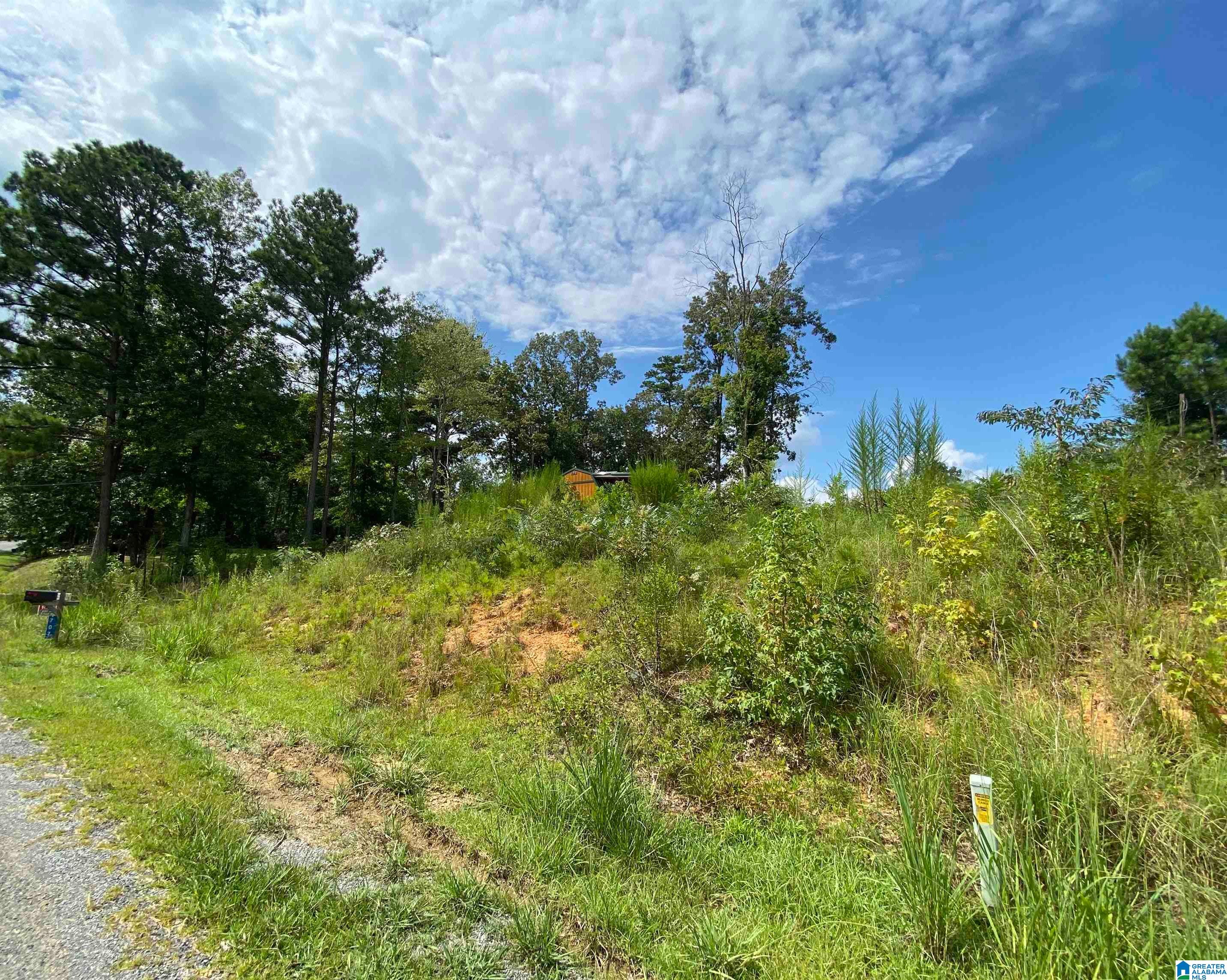 707 Sagebrush Road, Unit 12 Ashville, AL 35953 - Photo 8 of 8