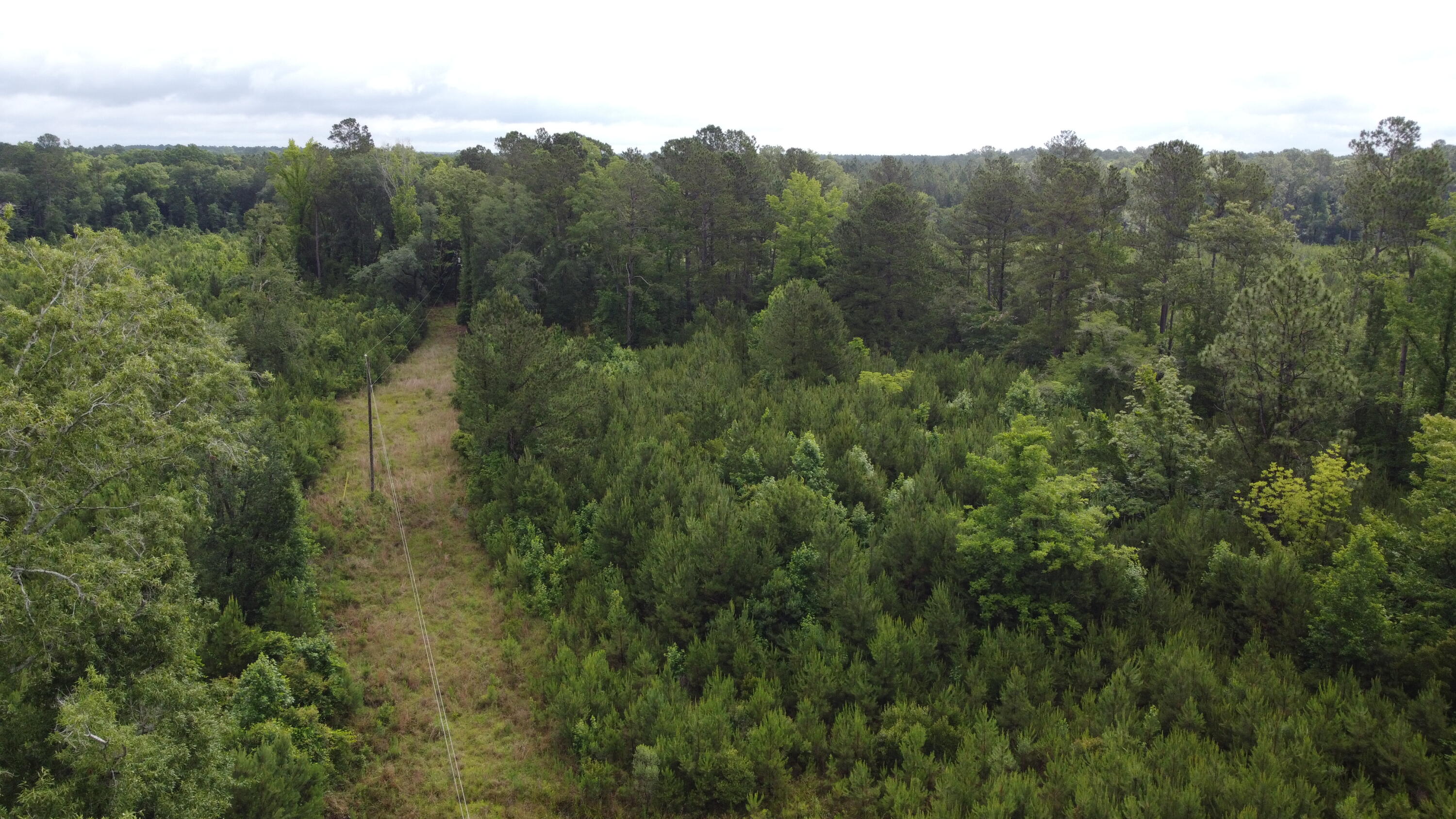 126 Batten Way Ridgeville, SC 29472 - Photo 8 of 25 DJI_0508