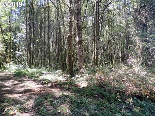 35520 Southeast Gunderson Road Sandy, OR 97055 - Photo 2 of 3