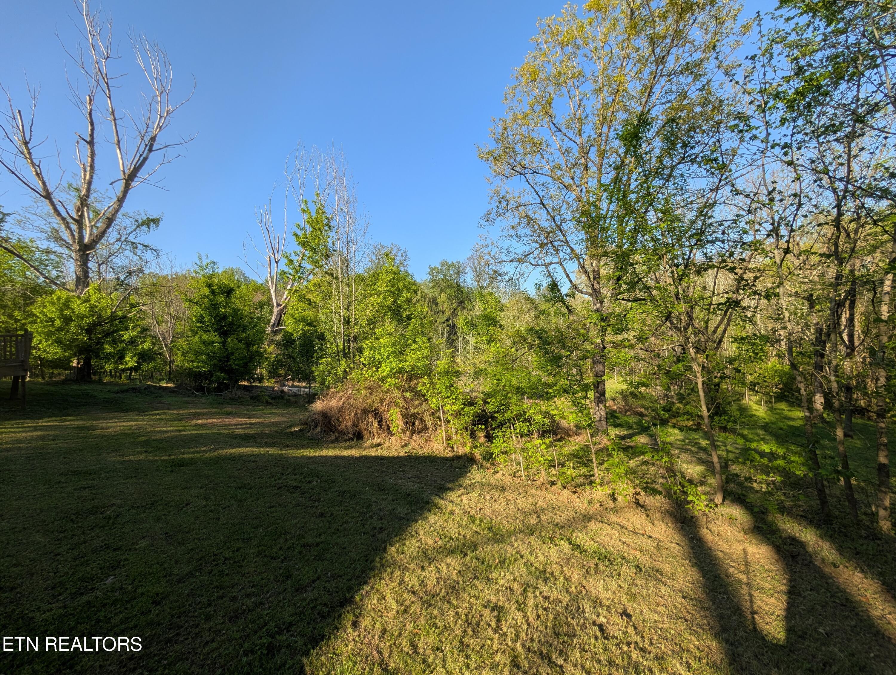 5490 Old Paris Murray Road Paris, TN 38242 - Photo 7 of 44 PXL_20260409_221341963
