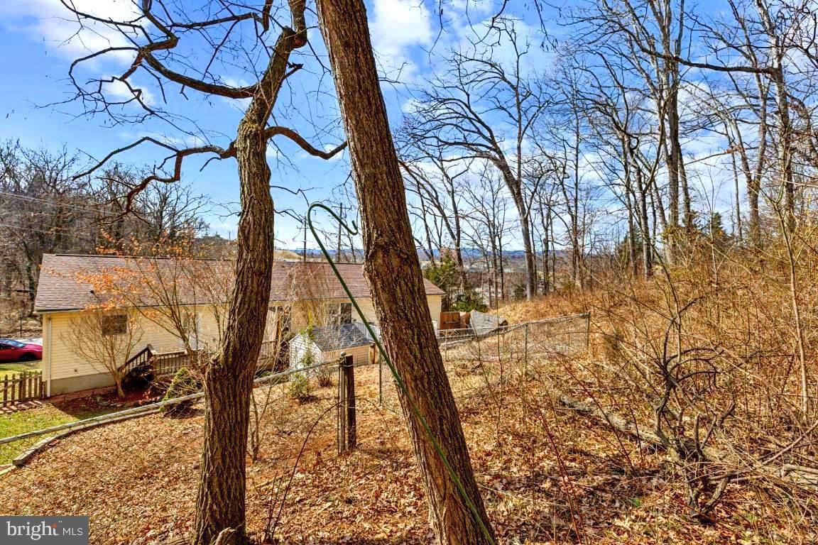 132 West Criser Road Front Royal, VA 22630 - Photo 24 of 30 More yard space