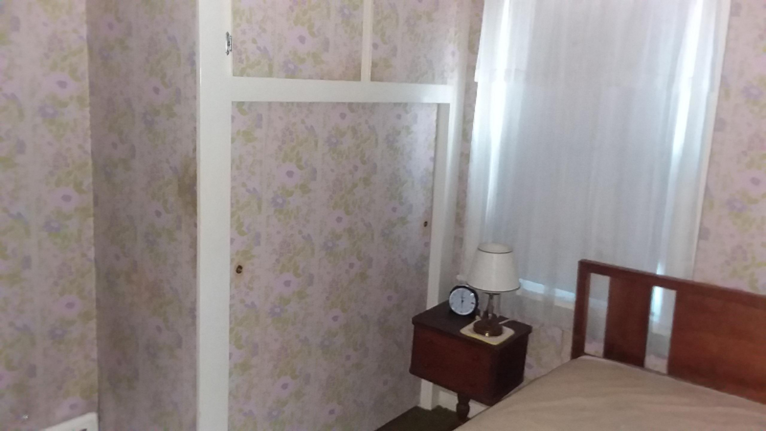 741 South Mill Street Reed City, MI 49677 - Photo 19 of 60 20190423_180835