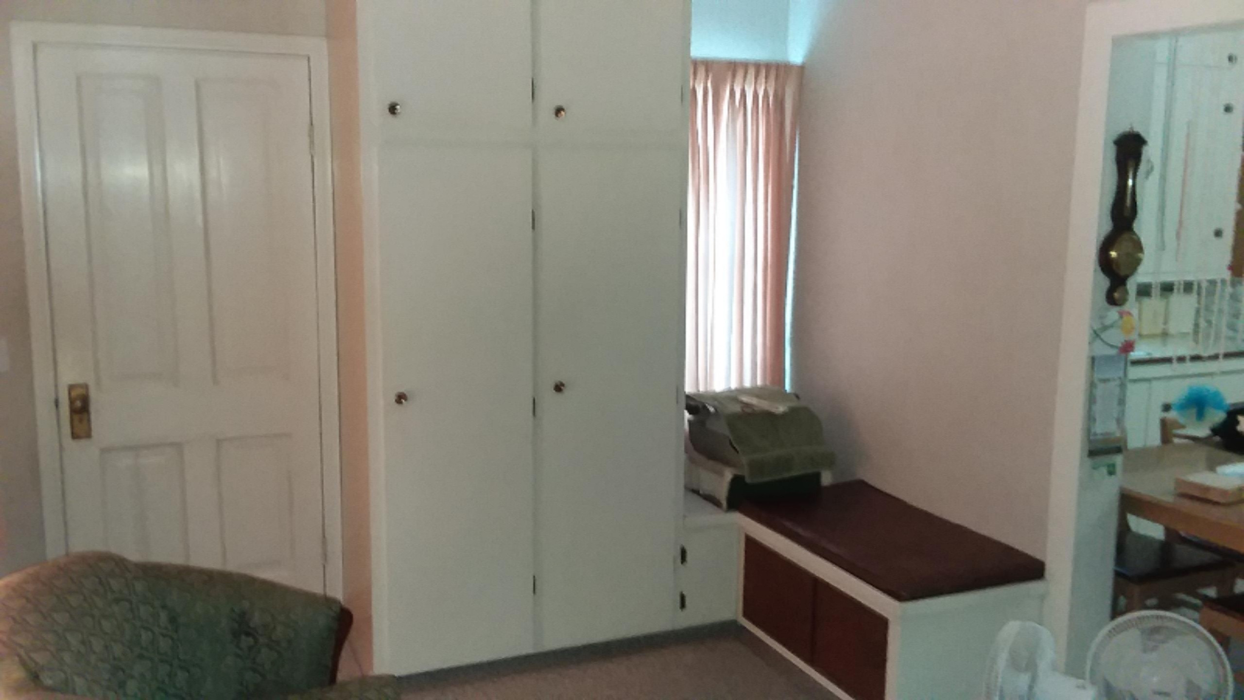 741 South Mill Street Reed City, MI 49677 - Photo 23 of 60 20190423_181052