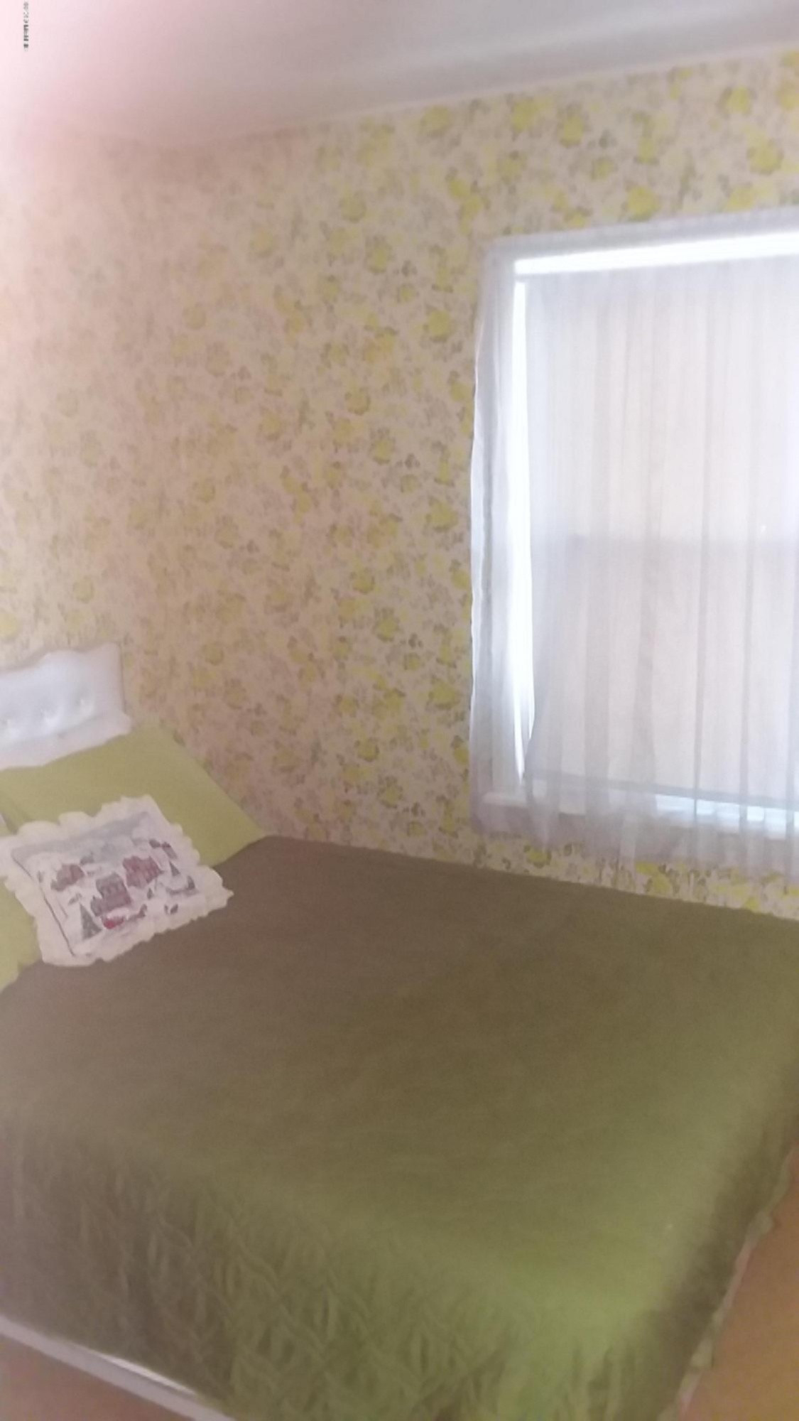 741 South Mill Street Reed City, MI 49677 - Photo 27 of 60 20190423_181150