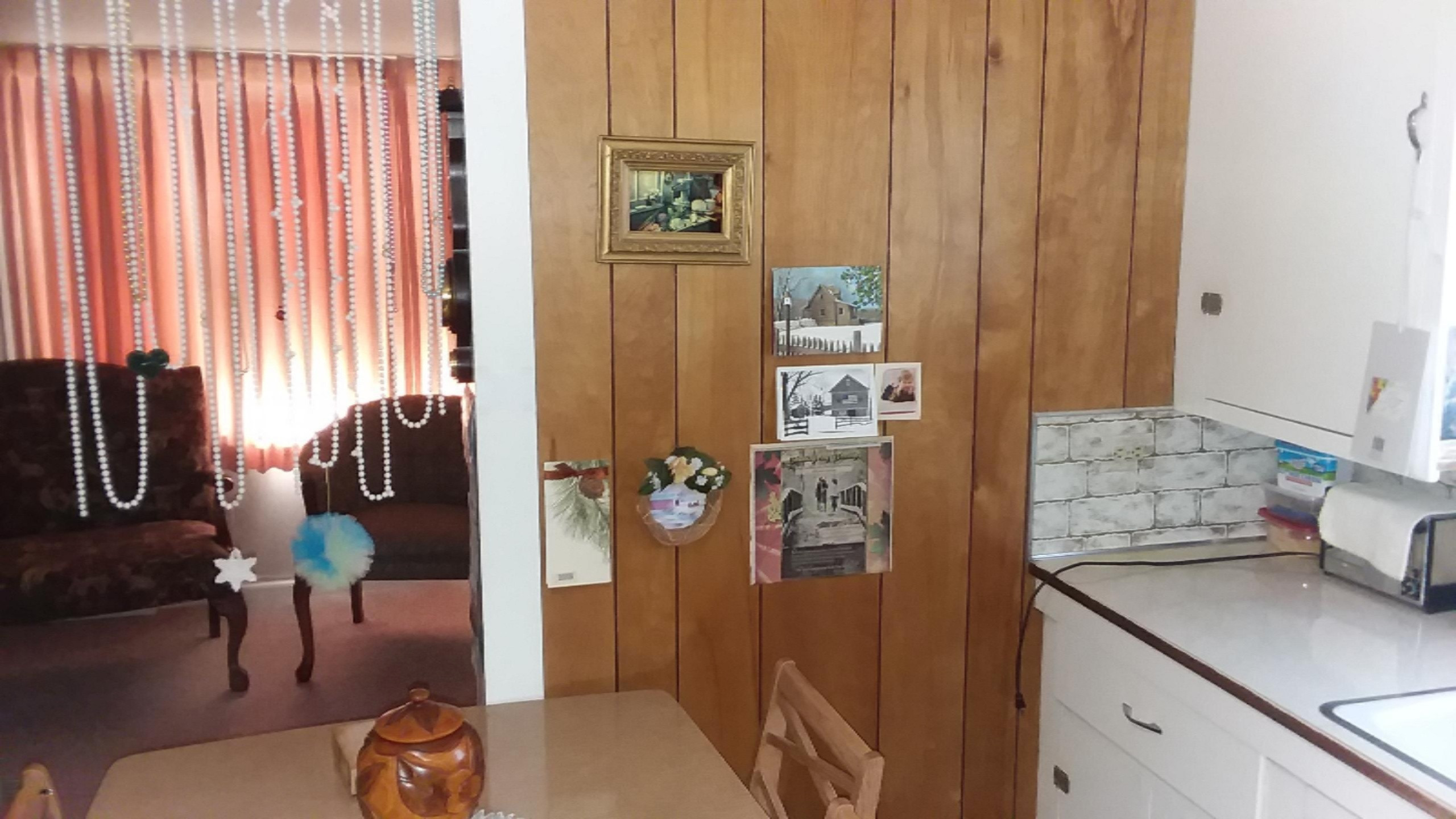 741 South Mill Street Reed City, MI 49677 - Photo 3 of 60 20190423_180923