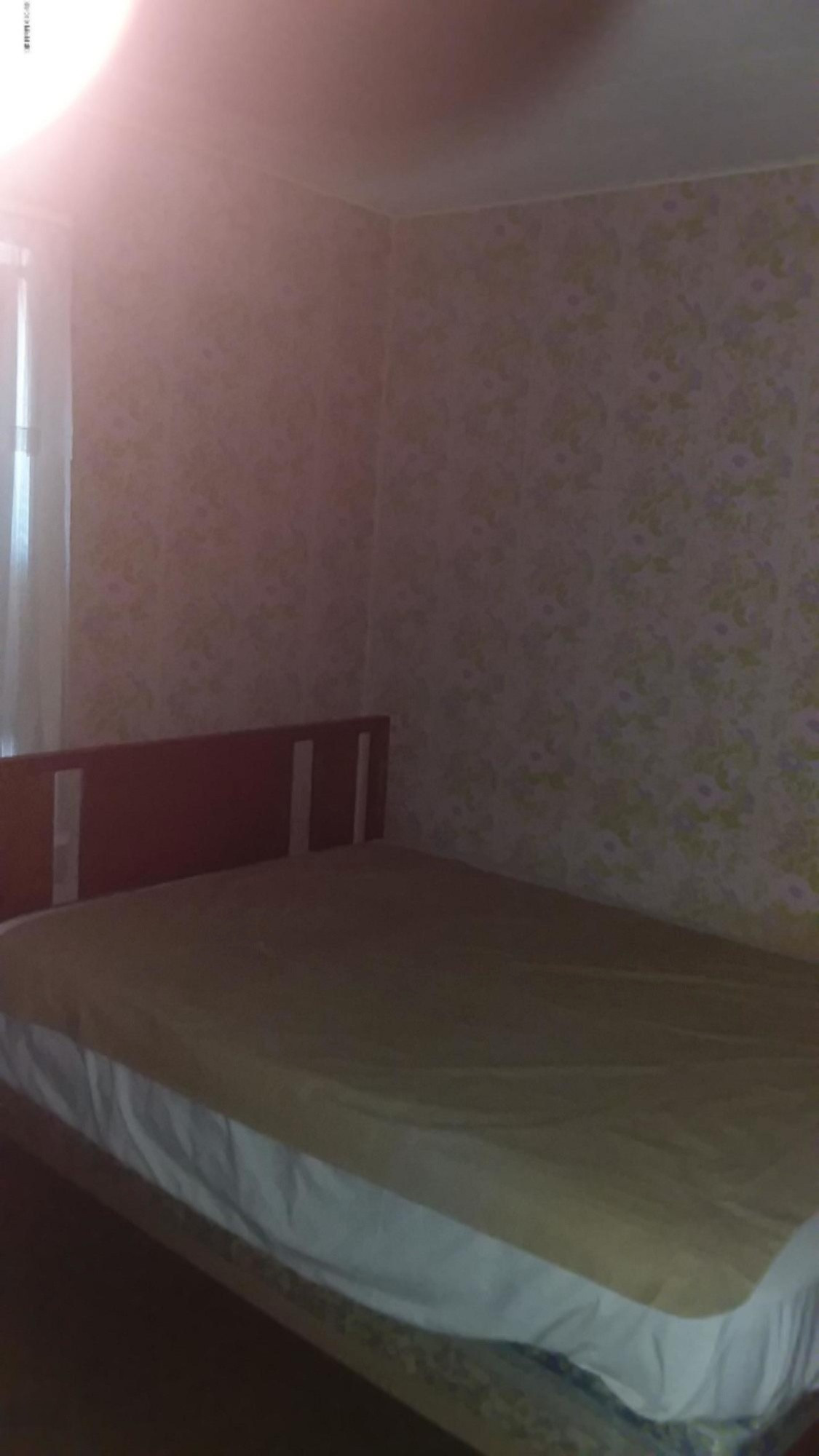 741 South Mill Street Reed City, MI 49677 - Photo 53 of 60 20190423_182828