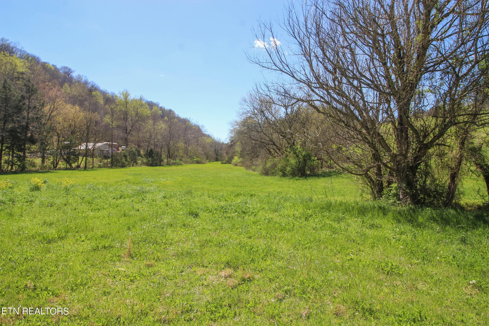 0 Fall Creek Road Maynardville, TN 37807 - Photo 13 of 21 Gallery Image 13