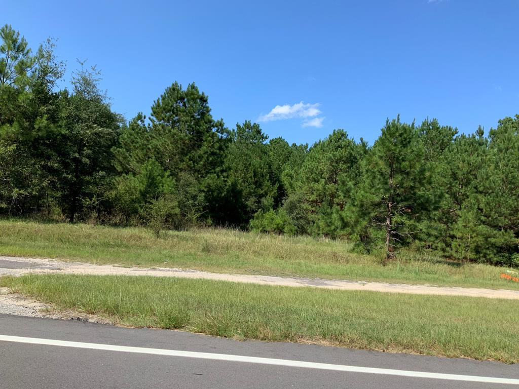 Tract #2 M W Rickenbaker Road Summerton, SC 29148 - Photo 9 of 10 Gallery Image 9
