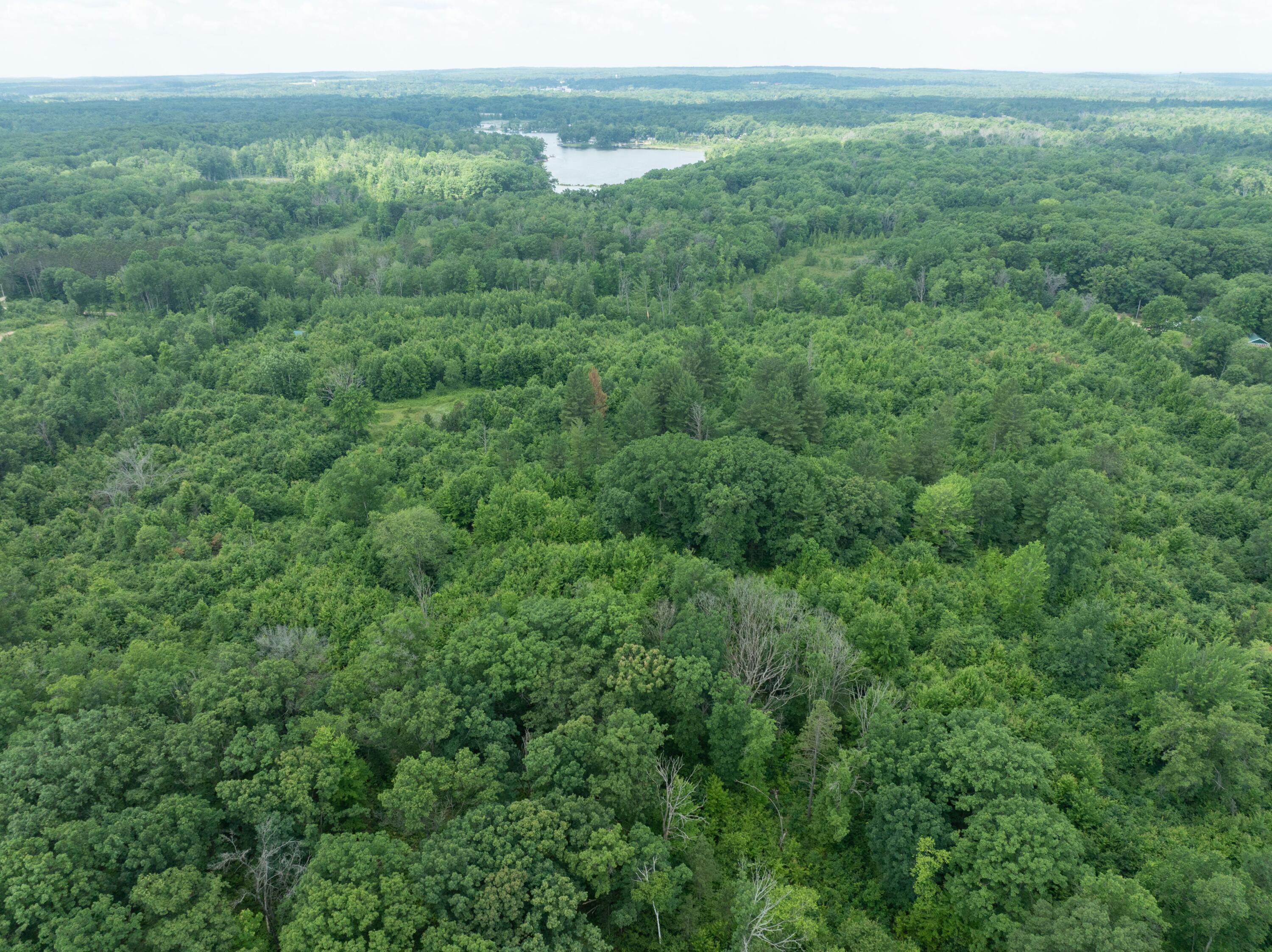 Parcel 'a' Deer Lake Road Harrison, MI 48625 - Photo 8 of 10 Looking West