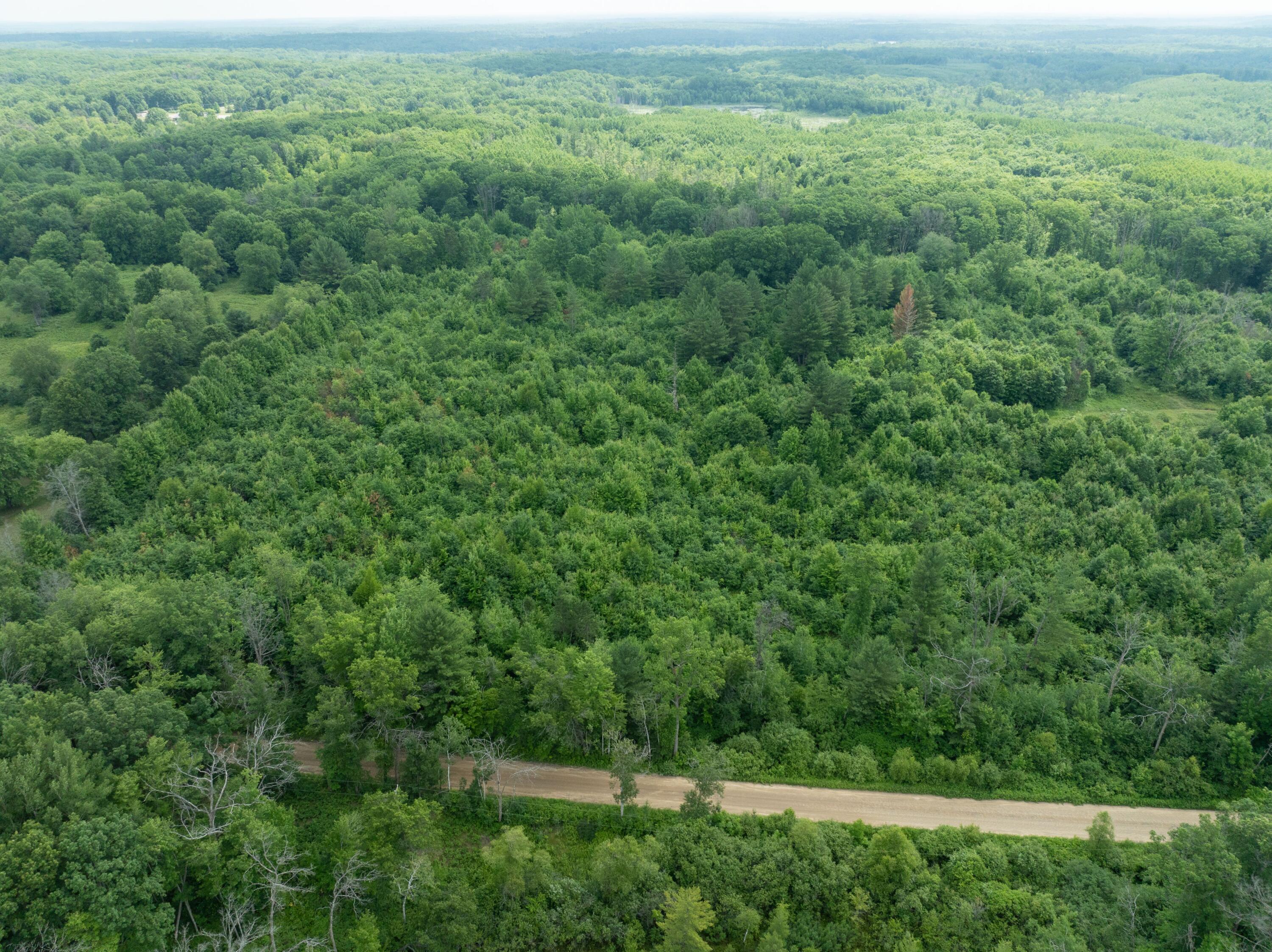 Parcel 'a' Deer Lake Road Harrison, MI 48625 - Photo 9 of 10 DJI_0103