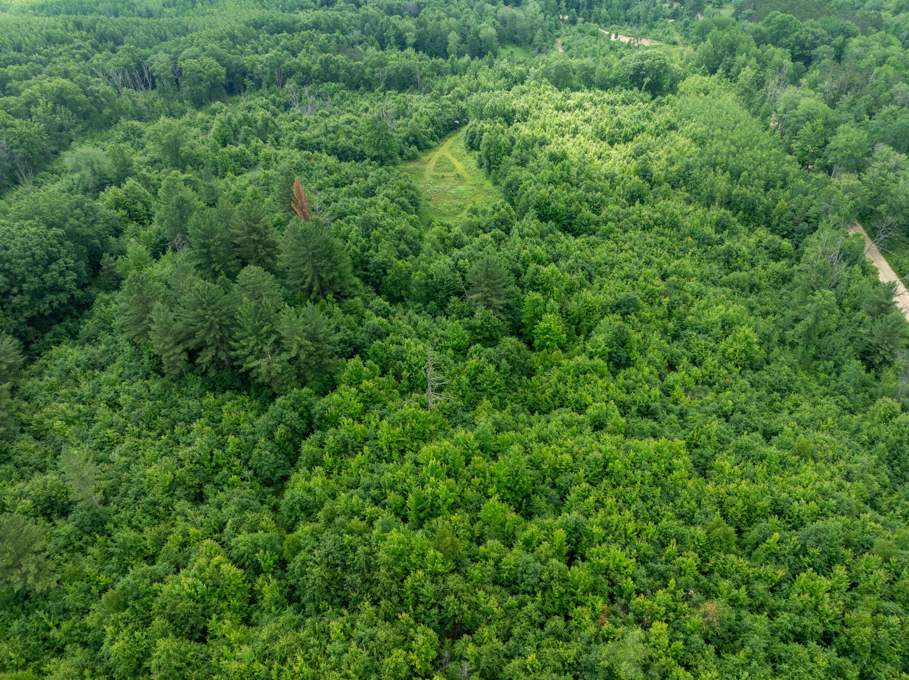 Parcel 'a' Deer Lake Road Harrison, MI 48625 - Photo 10 of 10 DJI_0104