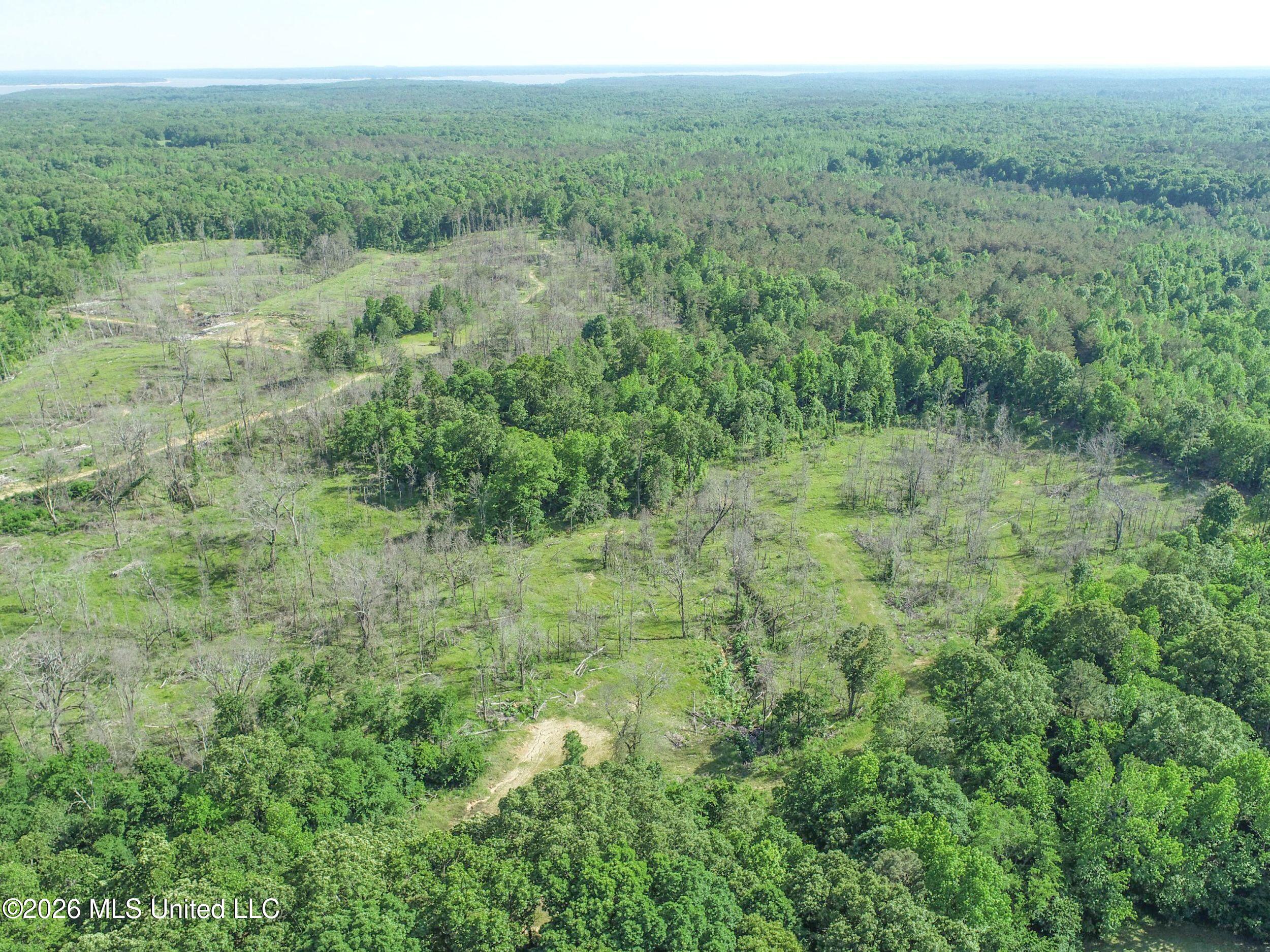Wayne Massie Road Como, MS 38619 - Photo 17 of 184 3ctwmrd2