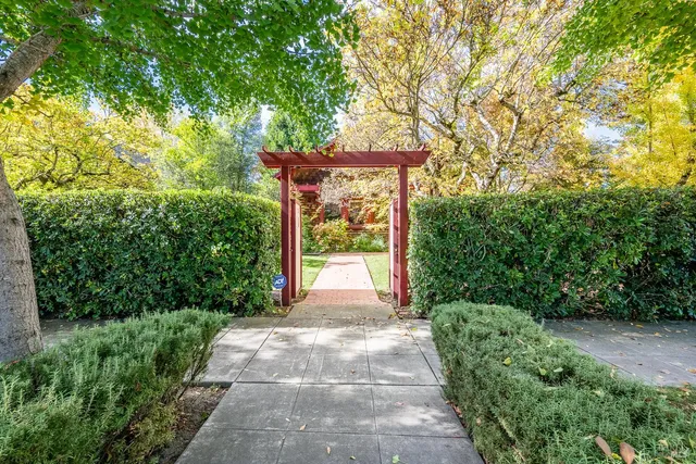 a view of a garden with pathway