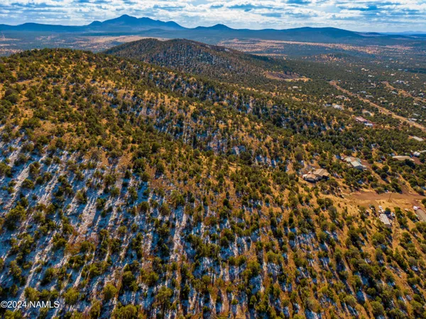 a view of an ocean beach
