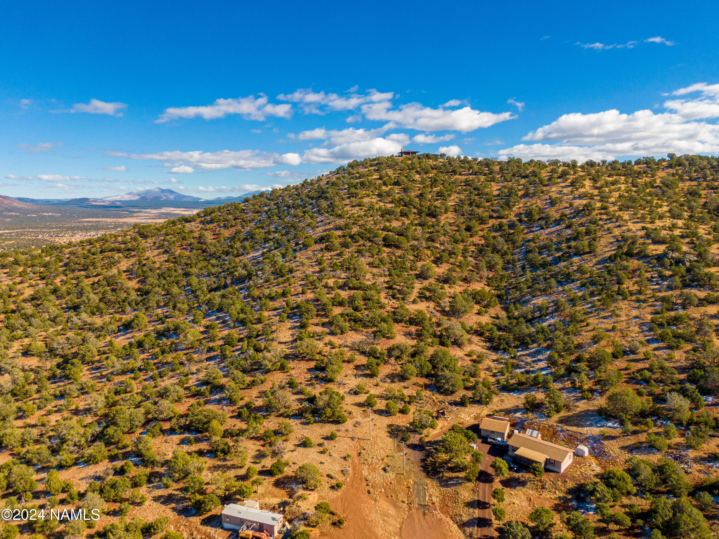 914 West Eagle Nest Road, Unit 9 Williams, AZ 86046 - Photo 5 of 15 a view of a large tree