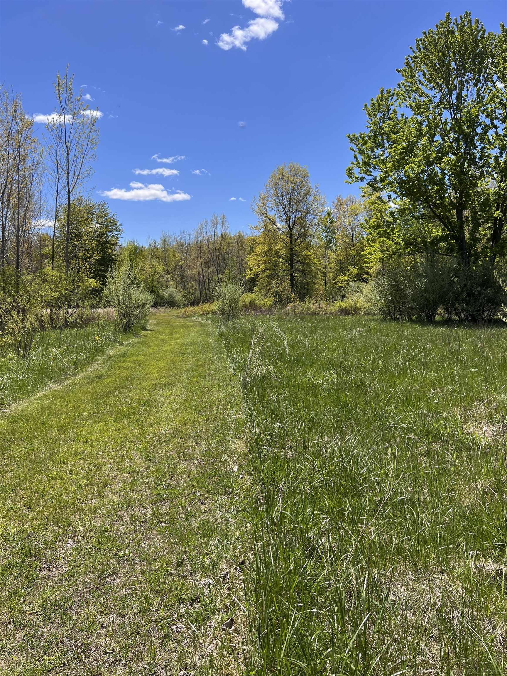 1546 East Birch Run Road Burt, MI 48417 - Photo 95 of 99 Gallery Image 95