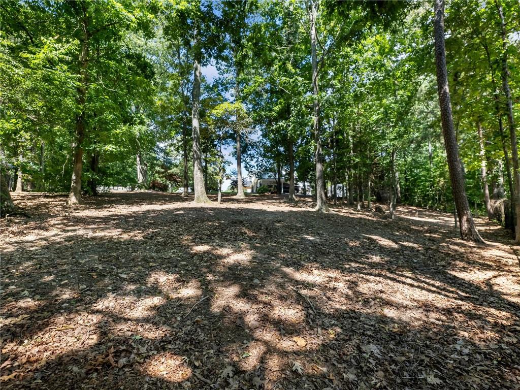 3965 Hamilton View Way Northeast Dacula, GA 30019 - Photo 77 of 79