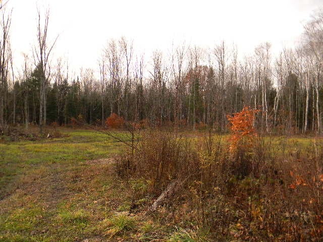 9840 South North Hulbert Road Hulbert, MI 49748 - Photo 25 of 26 Gallery Image 25