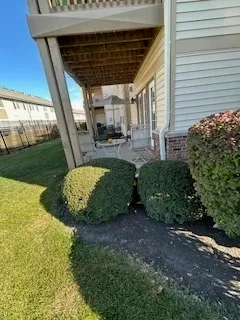 a view of a back yard with green space