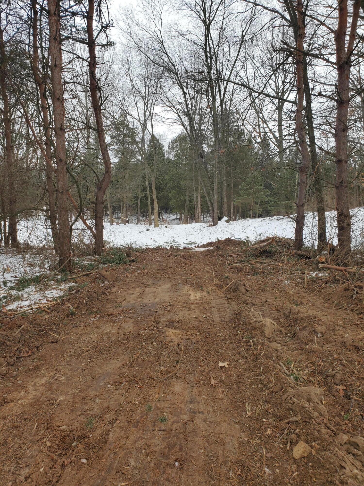 13082 Spruce Ridge Road, Unit LOT 9 Gowen, MI 49326 - Photo 1 of 9 13082 pic