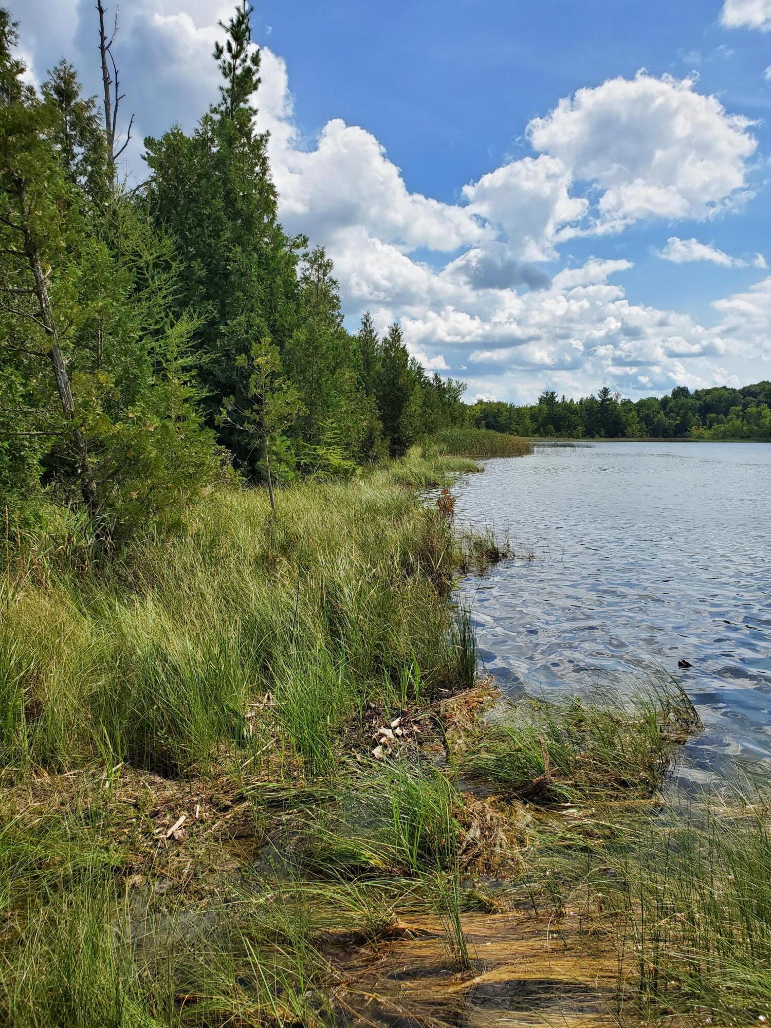 13082 Spruce Ridge Road, Unit LOT 9 Gowen, MI 49326 - Photo 6 of 9 20190821_142536
