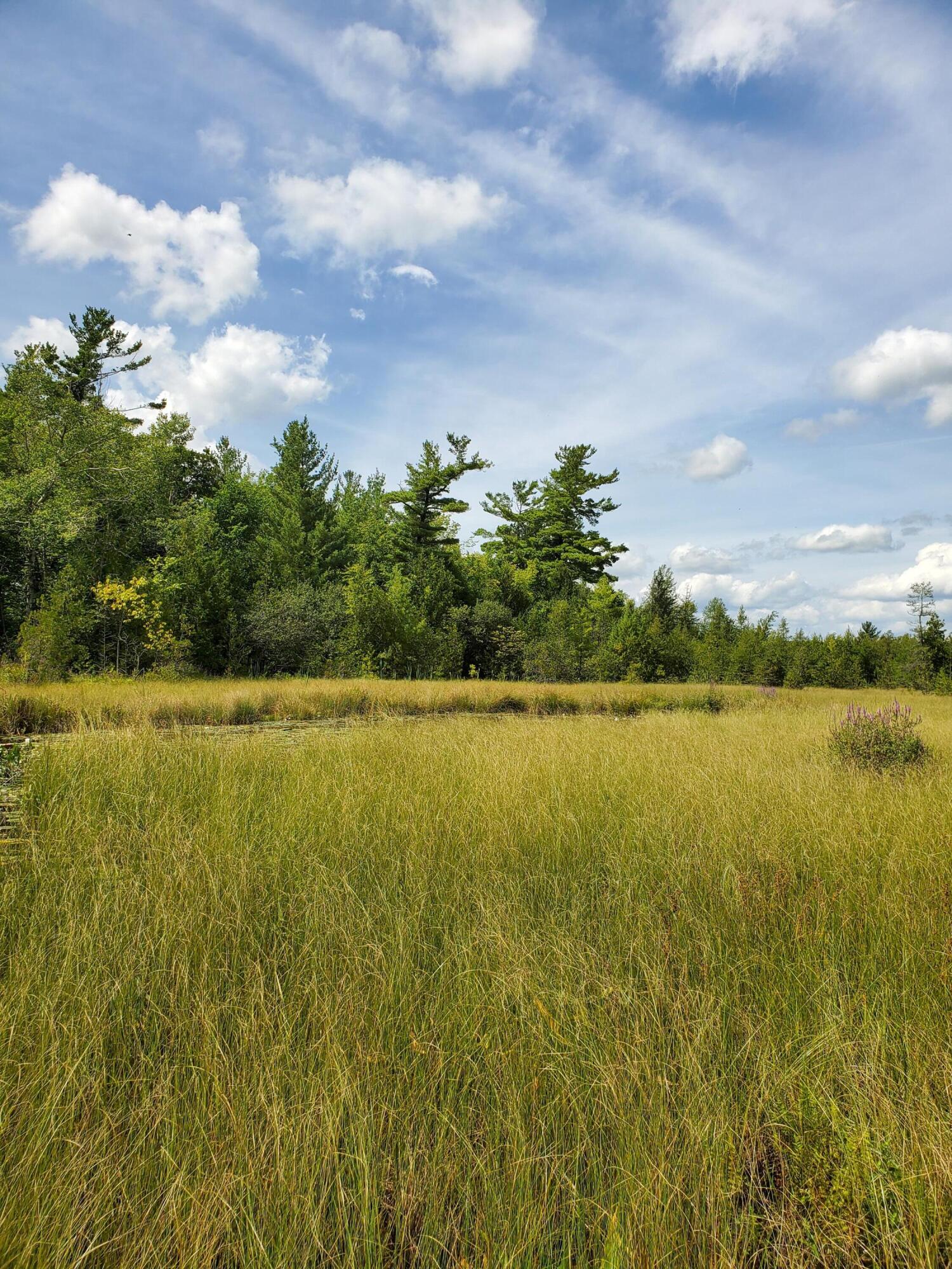 13082 Spruce Ridge Road, Unit LOT 9 Gowen, MI 49326 - Photo 7 of 9 Lot 9 water