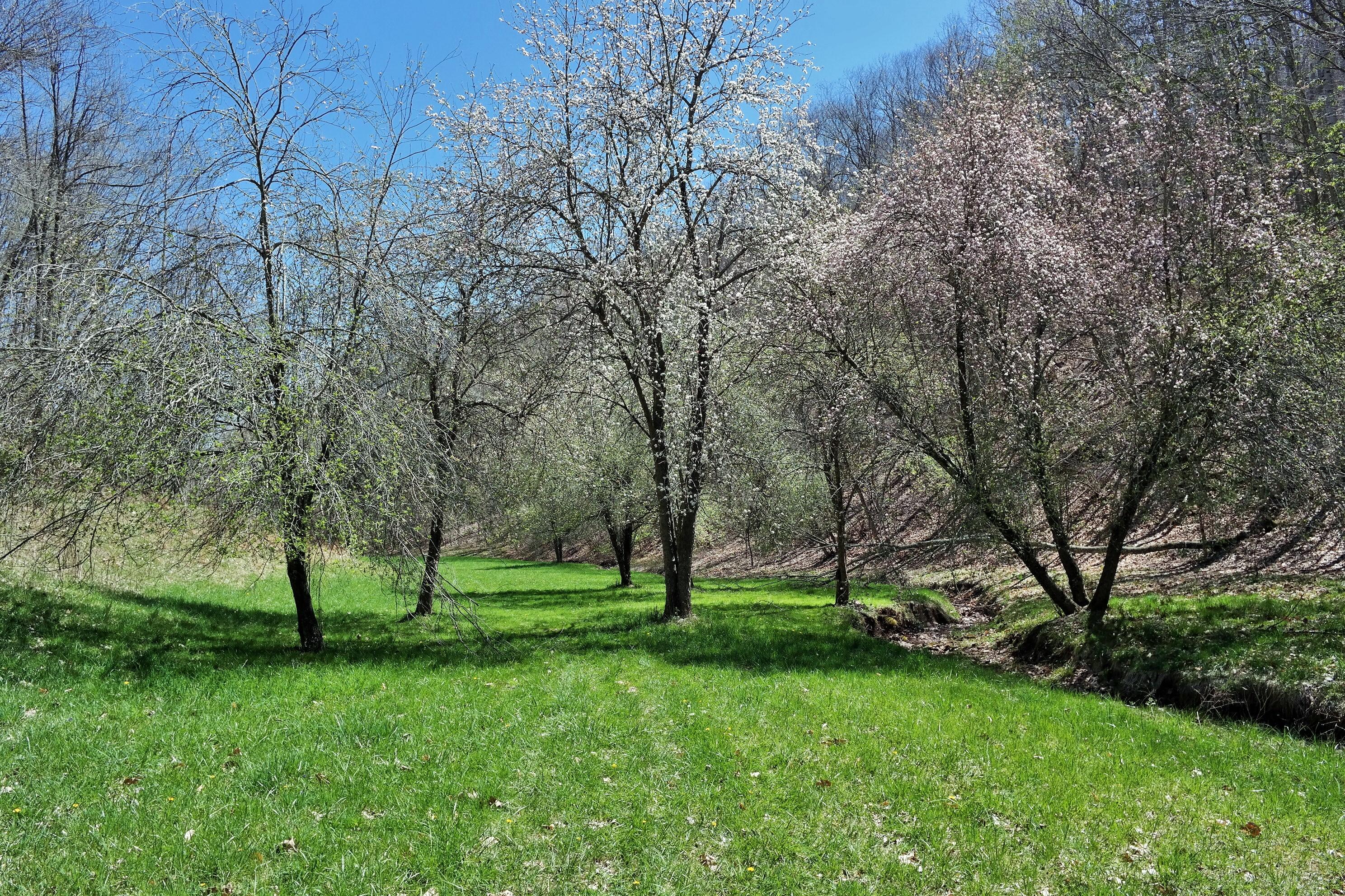 3678 Snake Run Road Alderson, WV 24910 - Photo 43 of 124 Gallery Image 43