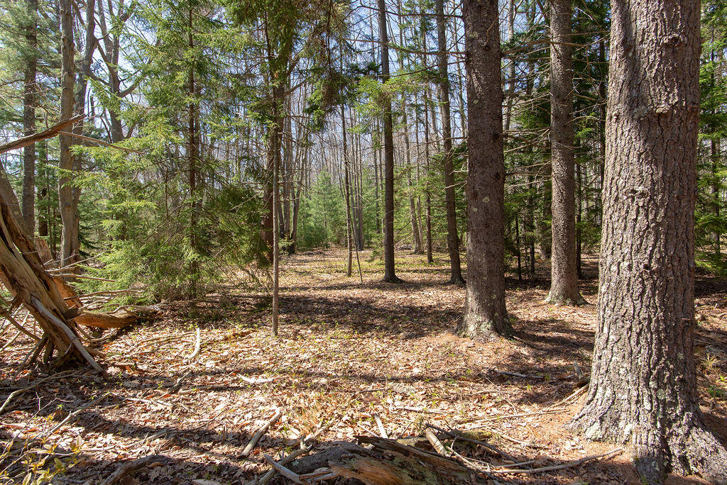 Lot 50 Charleston Road Chebeague Island, ME 04017 - Photo 5 of 11 50c-35