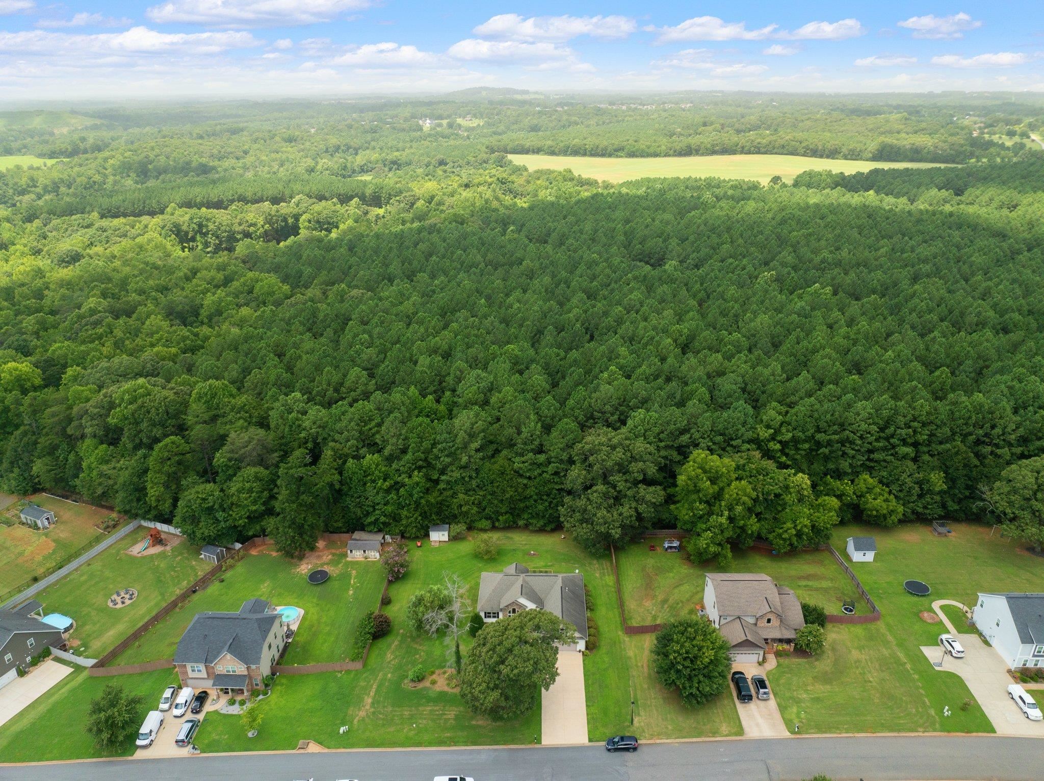 148 Rushing Waters Drive Inman, SC 29349 - Photo 39 of 41