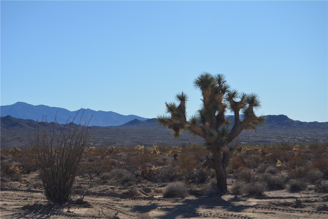 207-35-005 South Arlington Road Yucca, AZ 86438 - Photo 20 of 92