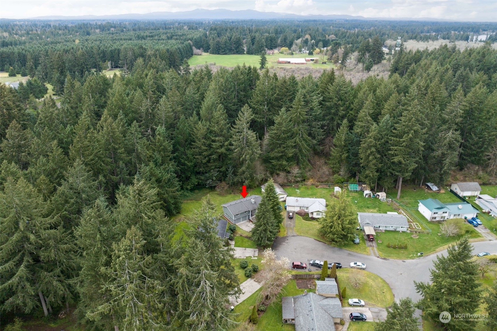 5033 Tri Lake Loop Southeast Olympia, WA 98513 - Photo 29 of 34 an aerial view of a house with a yard