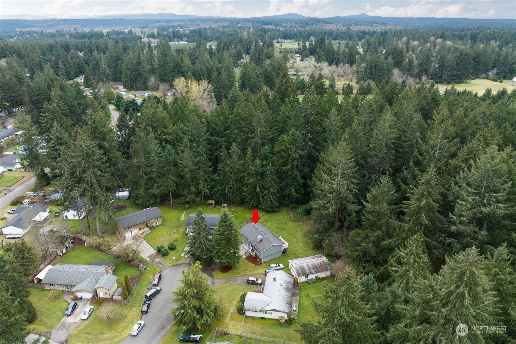 5033 Tri Lake Loop Southeast Olympia, WA 98513 - Photo 30 of 34 an aerial view of residential houses with outdoor space and trees